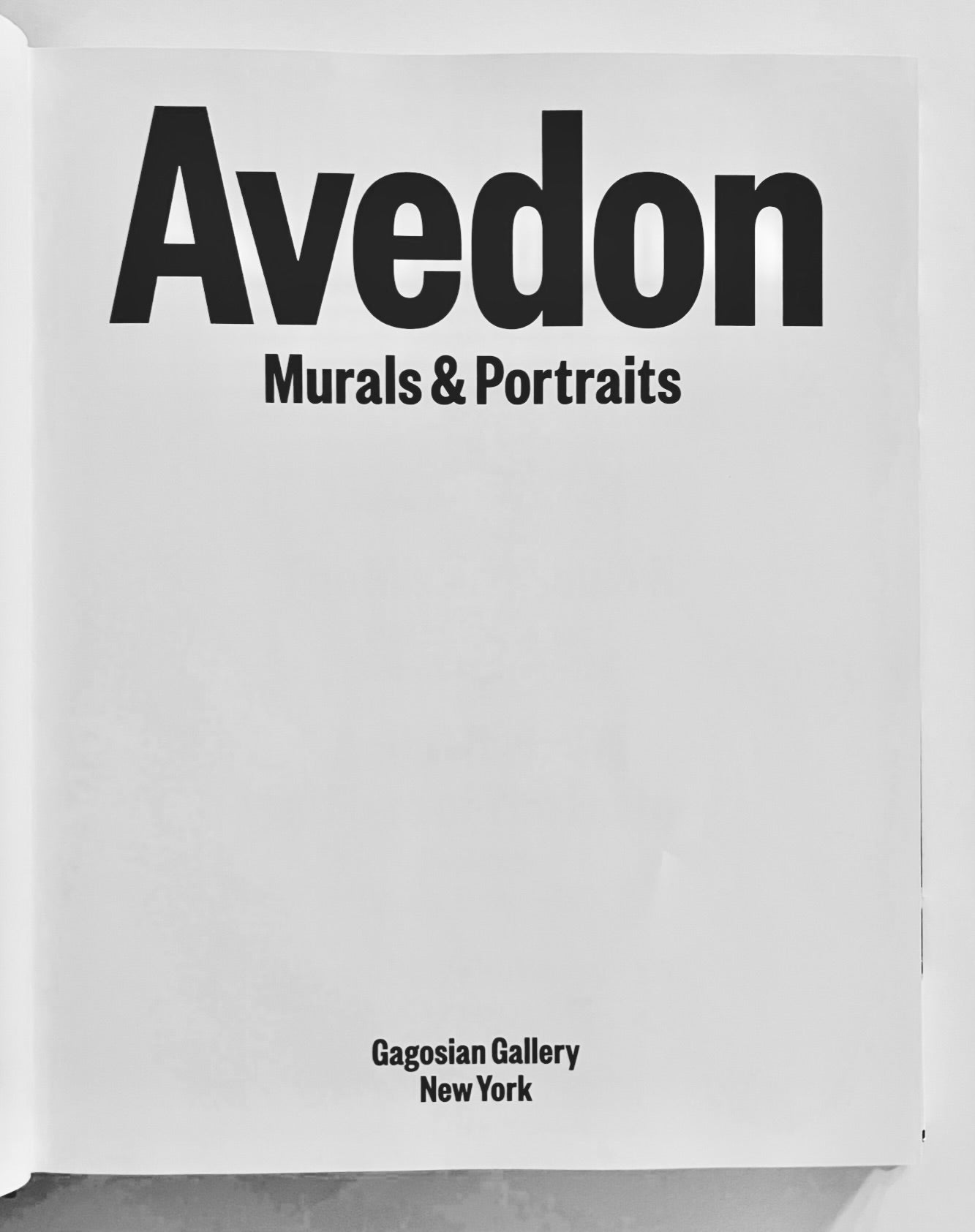 PANZER, Mary; Rubin, Bob; Roth, Paul; Menand, Louis; Shawcross, William. Avedon: Murals & Portraits.
