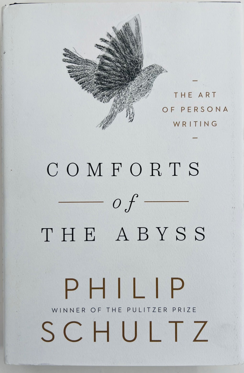 Shultz Writing SCHULTZ, Philip. Comforts of The Abyss: The Art of Persona Writing ...
